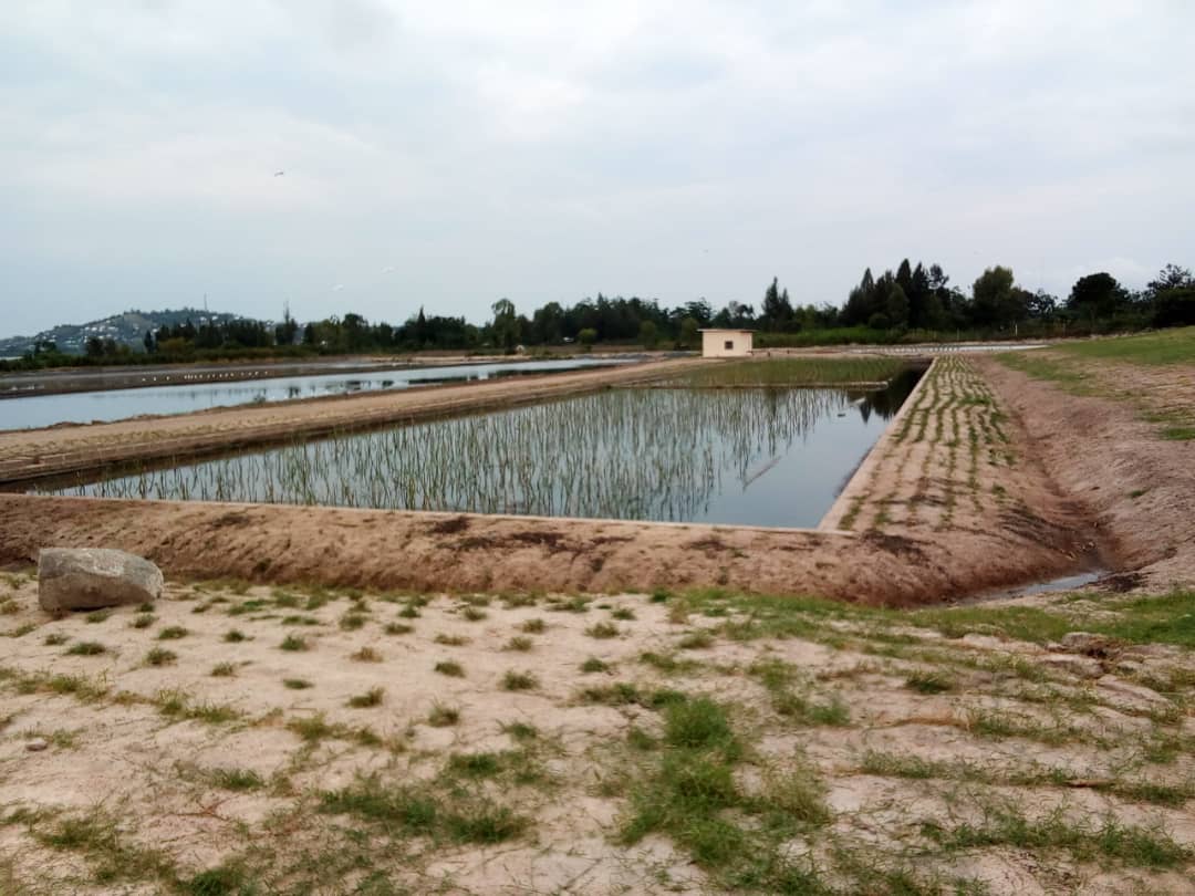 20190626_184532000_iOS